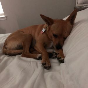 Meet your Posher, Melissa